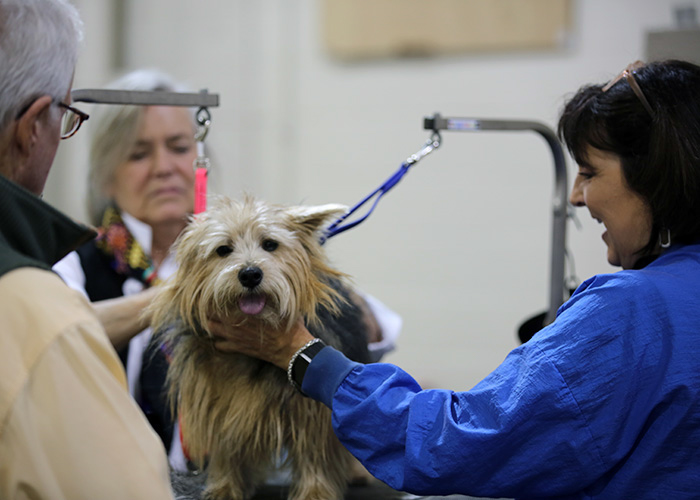 %_tempFileNameA6769%