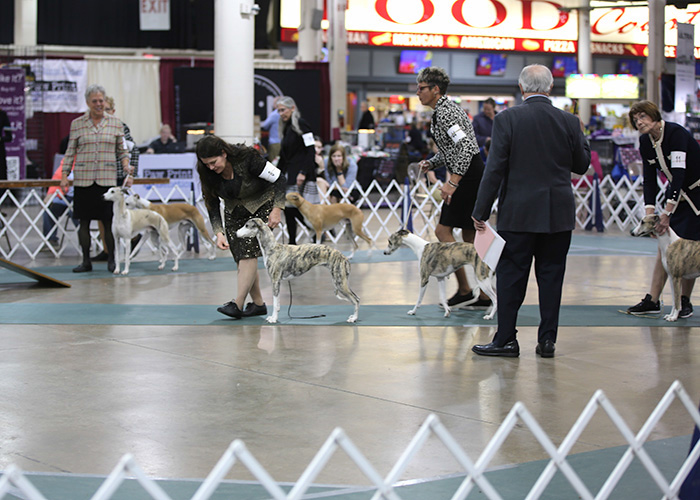 %_tempFileNameA6786%