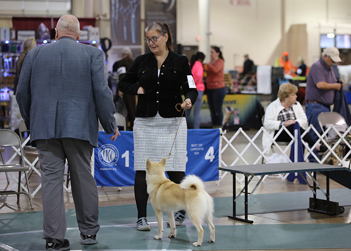 %_tempFileNameA6840%