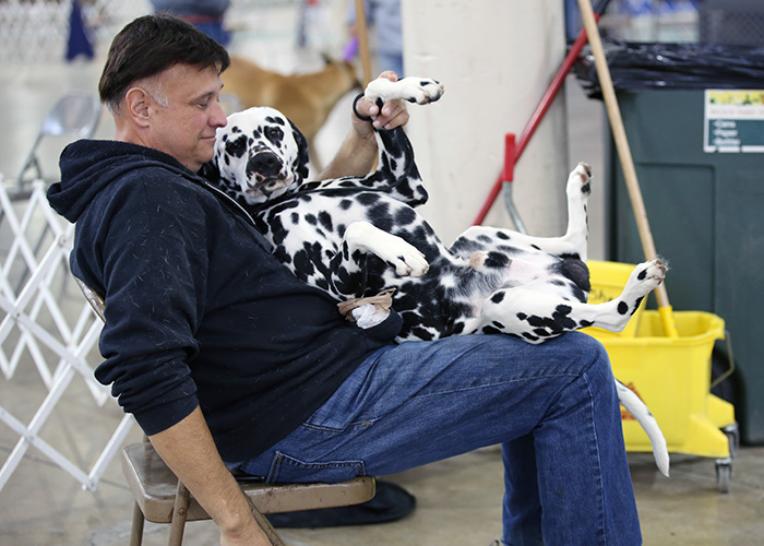 %_tempFileNameA6850%