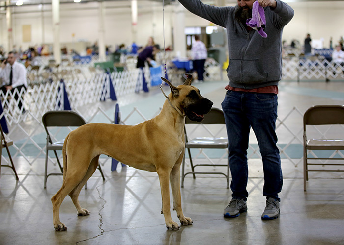 %_tempFileNameA6863%