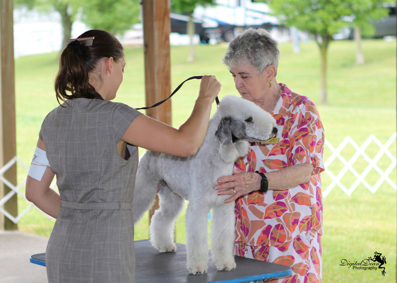 %_tempFileNameA0282%