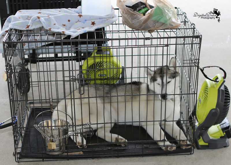 %_tempFileNameA0380%