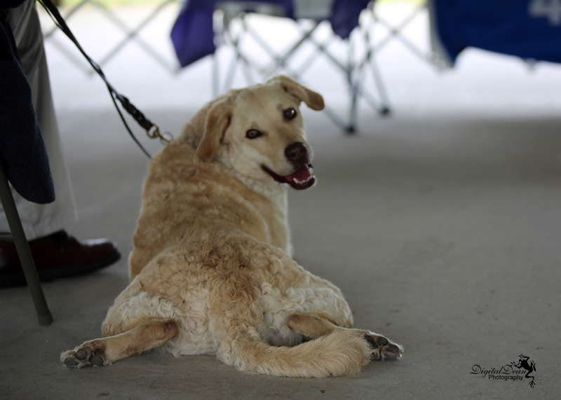 %_tempFileNameA6639%