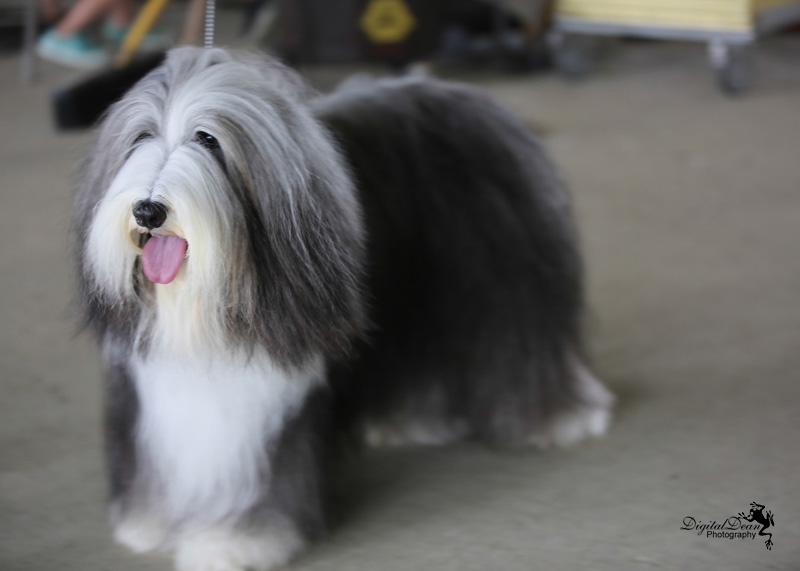 %_tempFileNameA6654%