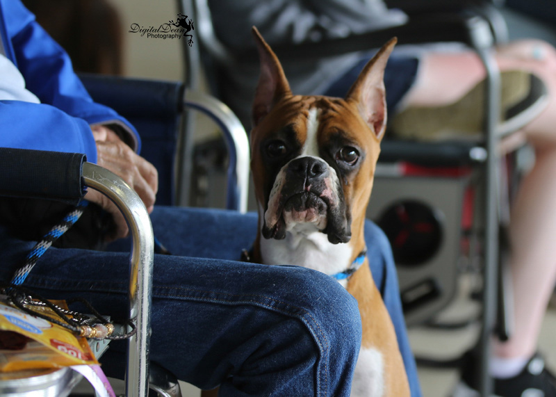 %_tempFileNameA6664%