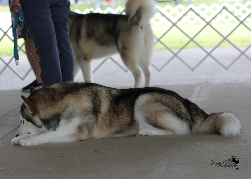 %_tempFileNameA6679%