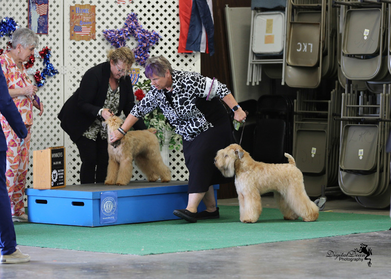 %_tempFileNameA6709%